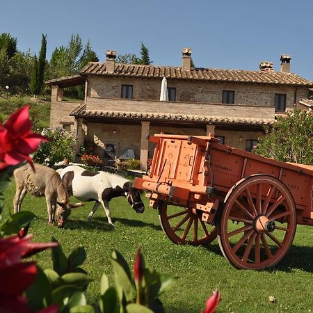 Farm Stay Il Carro Del Colle Collevalenza Buitenkant foto