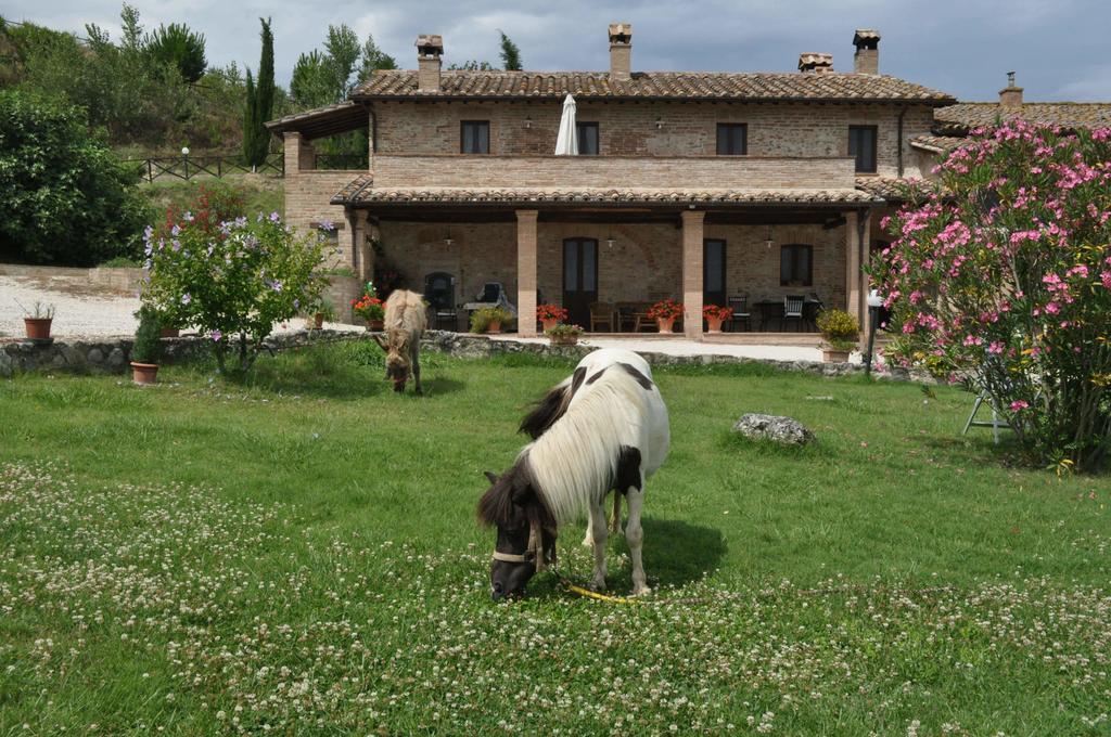 Farm Stay Il Carro Del Colle Collevalenza Buitenkant foto
